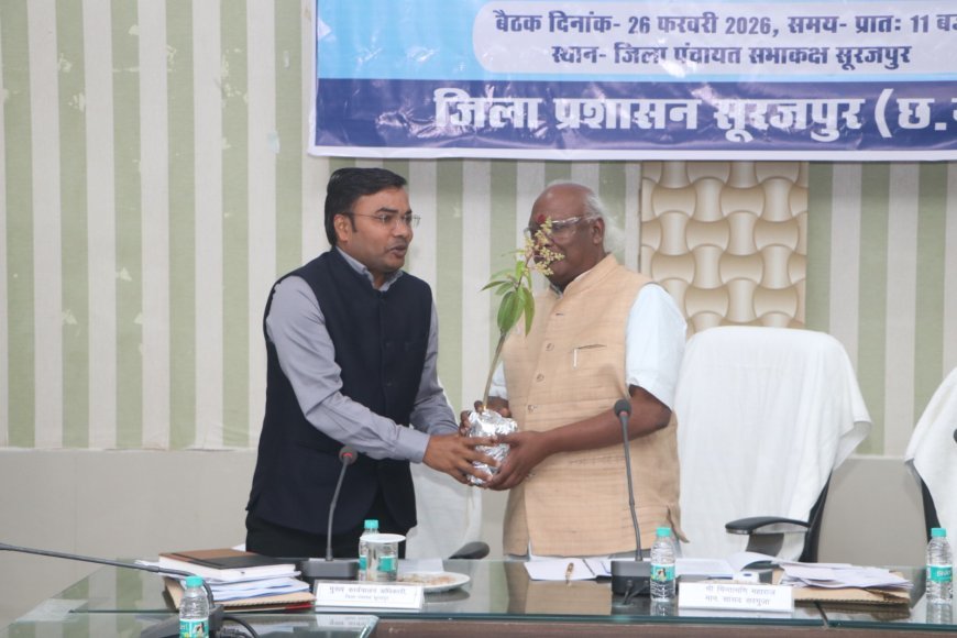 मिट्टी बचेगी तो भविष्य बचेगा: दिशा समिति में सांसद चिंतामणि महाराज का स्पष्ट संदेश