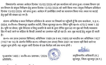 फर्जी अनुज्ञा का खेल: 15 टन लकड़ी पकड़ी, तीन पर एफआईआर… पर सवालों के घेरे में प्रशासन की निगरानी