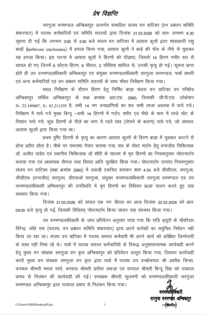 संजय वन वाटिका में कुत्तों का खूनी हमला: 15 हिरणों की मौत, छोटे कर्मचारी सस्पेंड… बड़े अफसरों पर क्यों नहीं कार्रवाई...?