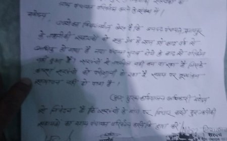मनमानी से त्रस्त सरपंचों का सब्र टूटा: 8 साल से जमे तकनीकी सहायक पर उठे सवाल, कार्रवाई नहीं तो आंदोलन तय