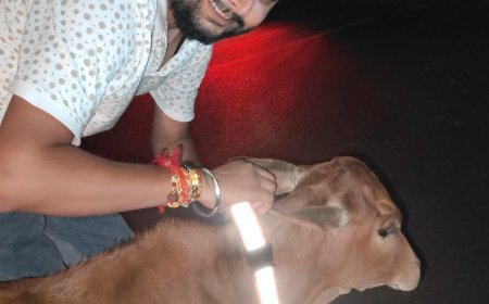 अंधेरी रात में मवेशियों के गले में चमकेगी उम्मीद की रोशनी, शशांक और सनी ने बांधे रेडियम बेल्ट