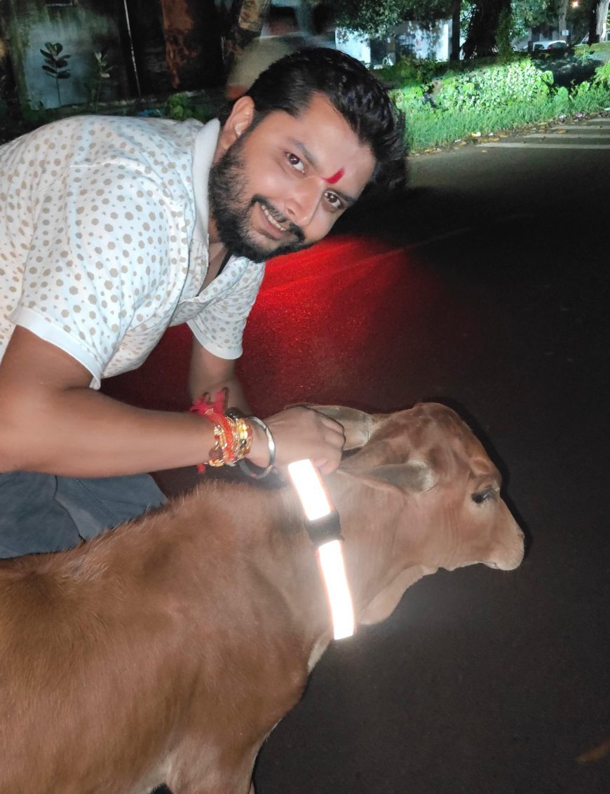 अंधेरी रात में मवेशियों के गले में चमकेगी उम्मीद की रोशनी, शशांक और सनी ने बांधे रेडियम बेल्ट