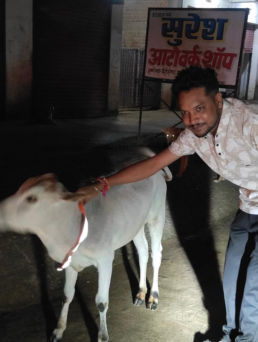 अंधेरी रात में मवेशियों के गले में चमकेगी उम्मीद की रोशनी, शशांक और सनी ने बांधे रेडियम बेल्ट