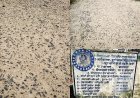17 महीने में ही दम तोड़ गई 20 लाख की सीसी सड़क, सीमेंट गायब और गिट्टियां बनीं राह की मुसीबत
