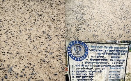 17 महीने में ही दम तोड़ गई 20 लाख की सीसी सड़क, सीमेंट गायब और गिट्टियां बनीं राह की मुसीबत
