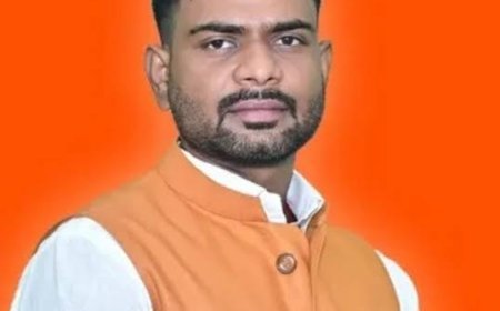 मैनपाट की खूबसूरती पर गंदगी का ग्रहण, टाइगर प्वाइंट पहुंचे विधायक रामकुमार टोप्पो ने लगाई फटकार