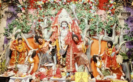 17वें वार्षिकोत्सव पर सजेगा मां काली का दरबार, तीन दिनों तक गूंजेंगे जयकारे